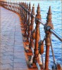 HIGHLY COMMENDED.....Patricia Anderson